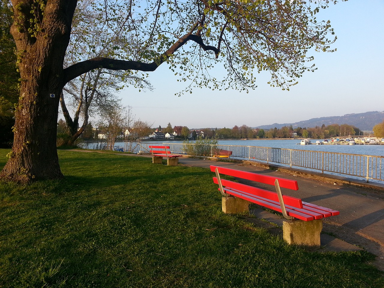 成功挫败了 成功挫败了