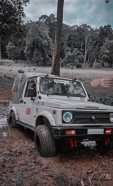 更全面的打 更全面的打