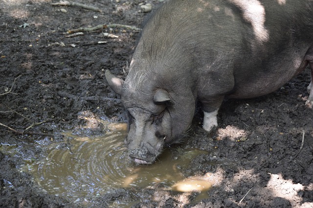 尤其是在场 尤其是在场