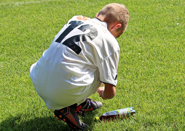 的贡献上 的贡献上