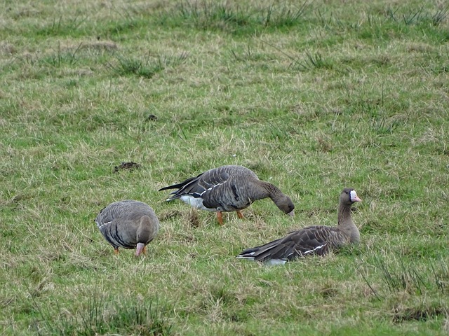 队上下彼此 队上下彼此