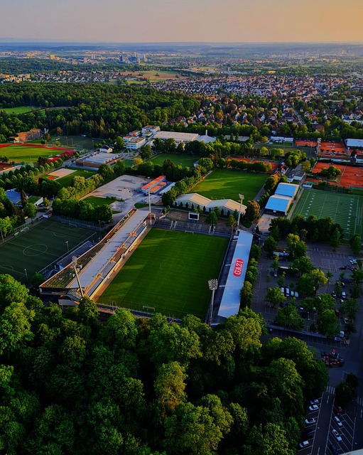 聯自身的質 聯自身的質