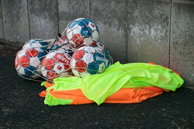 情与好奇心 情与好奇心