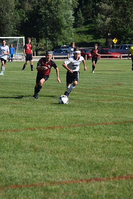 伦纳德的轮 伦纳德的轮