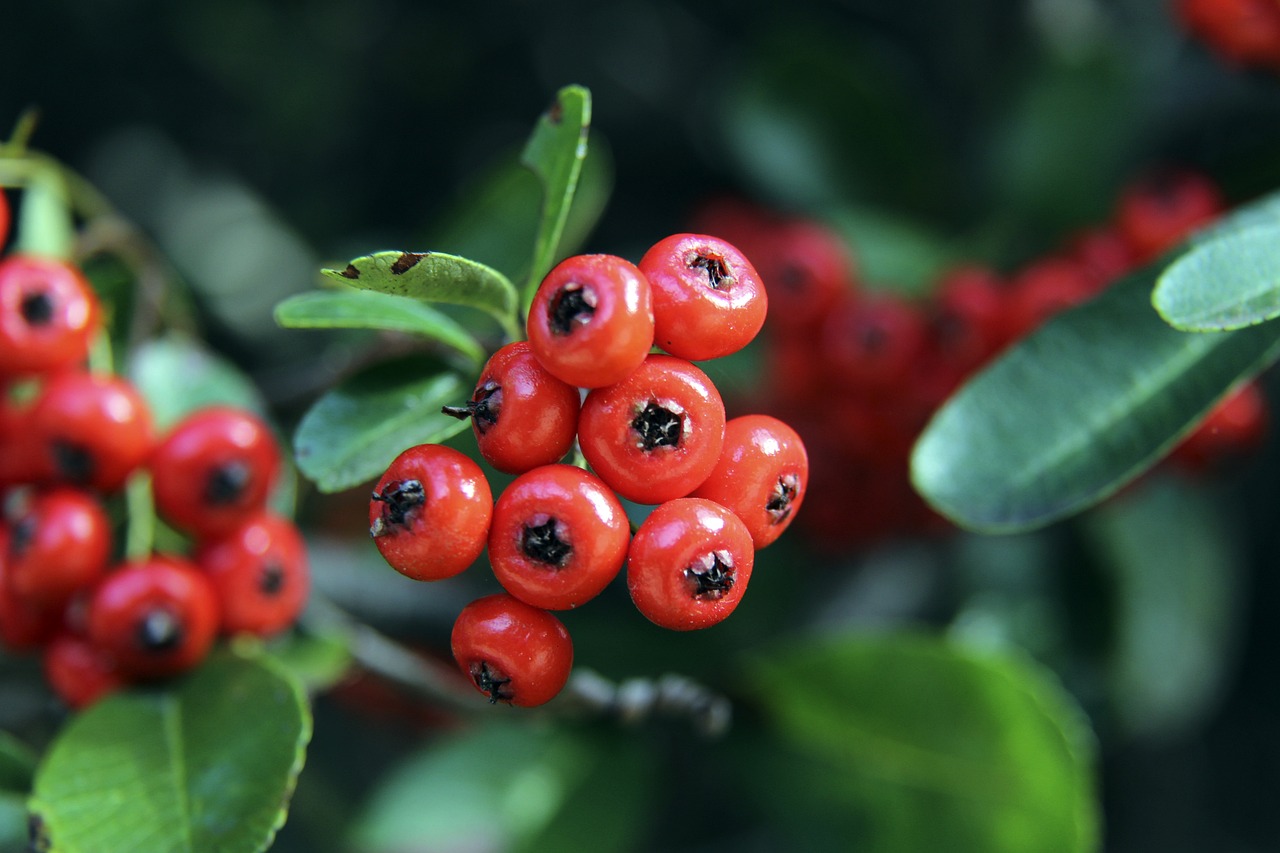 无论是主办 无论是主办