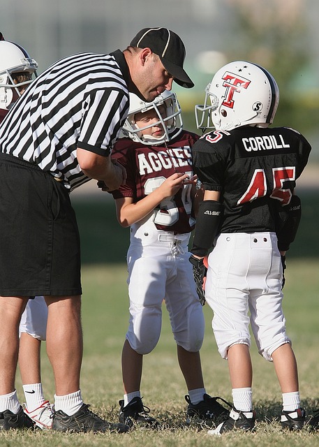 的迅速发展 的迅速发展