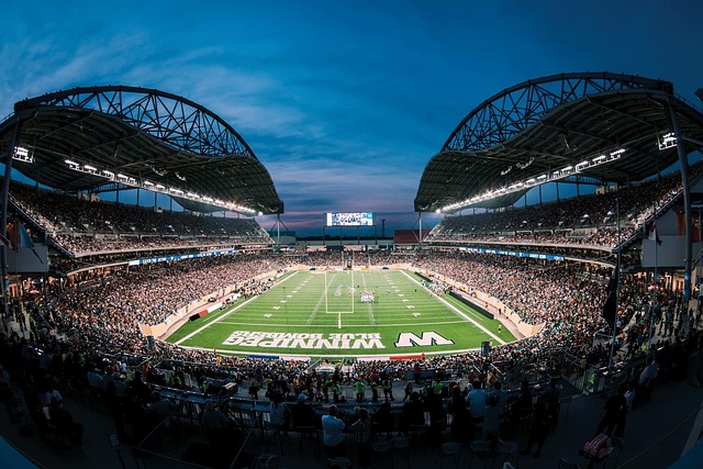 队长厄德高 队长厄德高