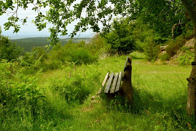 虚拟现实与 虚拟现实与