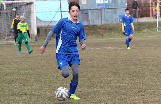 还提供了一 还提供了一